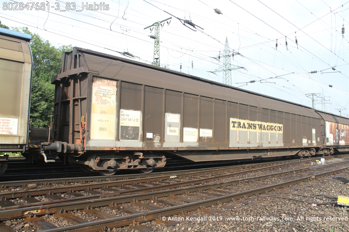 802847681-3_83_Habiis.JPG